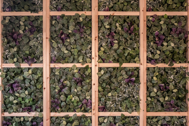 人造绿叶纹理无缝，方形木框。图片下载