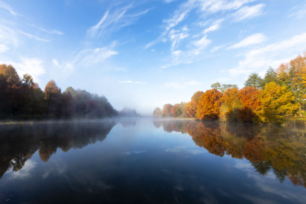 水雾和秋色的树木图片下载