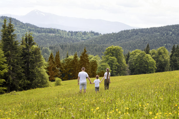 幸福的家庭:父亲和年幼的儿子和母亲手牵手站在绿色的田野上，背景是针叶林和山脉。后视图图片下载