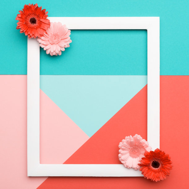 母亲节快乐，妇女节快乐，情人节快乐，生日快乐。花平铺极简几何图案贺卡。图片下载