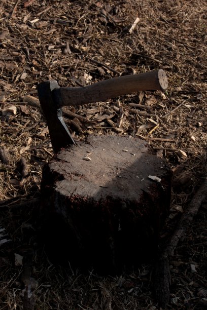 斧头用木柄钉在砍下的树干上图片下载