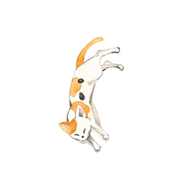 日本的猫图片下载