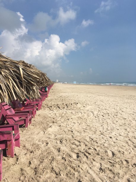 只有她和我图片下载