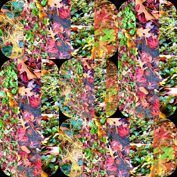 大自然的墙纸拼贴(3)图片下载