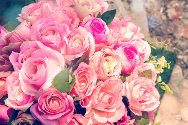 背景是粉红色的橙色和桃红色的玫瑰图片下载