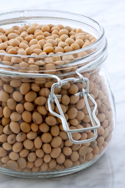 有机大豆图片下载