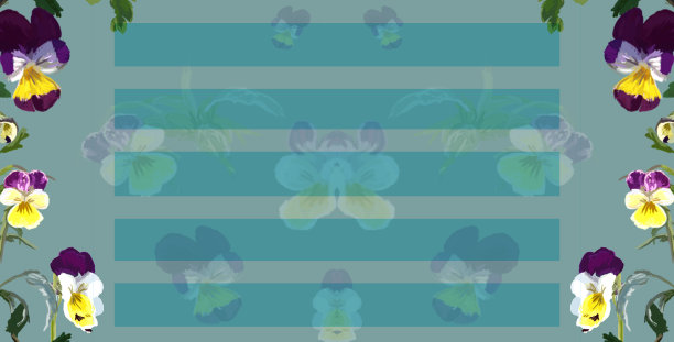 一幅花和叶的画框——三色堇。贴纸和证书图片下载