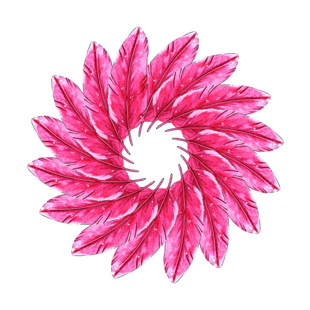 水彩羽毛模板。图片下载