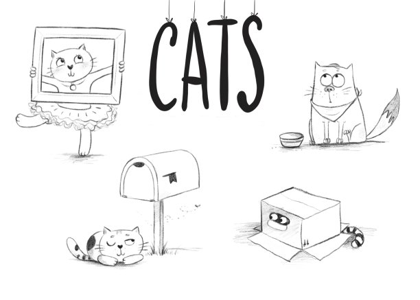 粘性的小猫图片下载