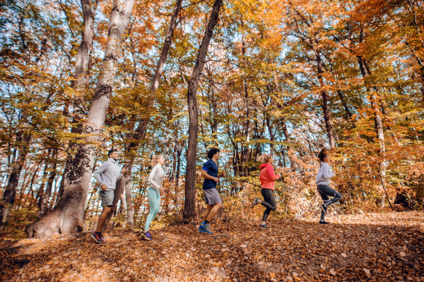 跑步者排成一行。图片下载