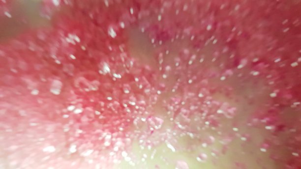 盐抽象背景在粉红色图片下载