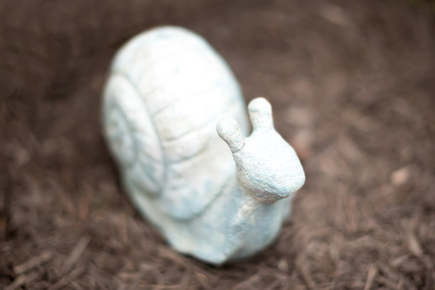 花园装饰图片下载