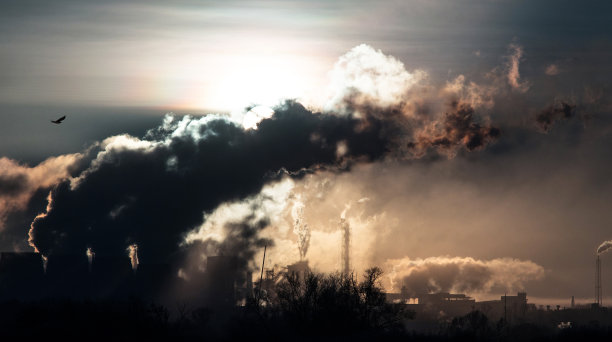 景观烟雾从工厂和植物图片下载