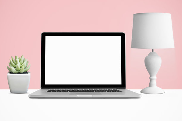笔记本电脑，台灯和盆栽仙人掌。图片下载