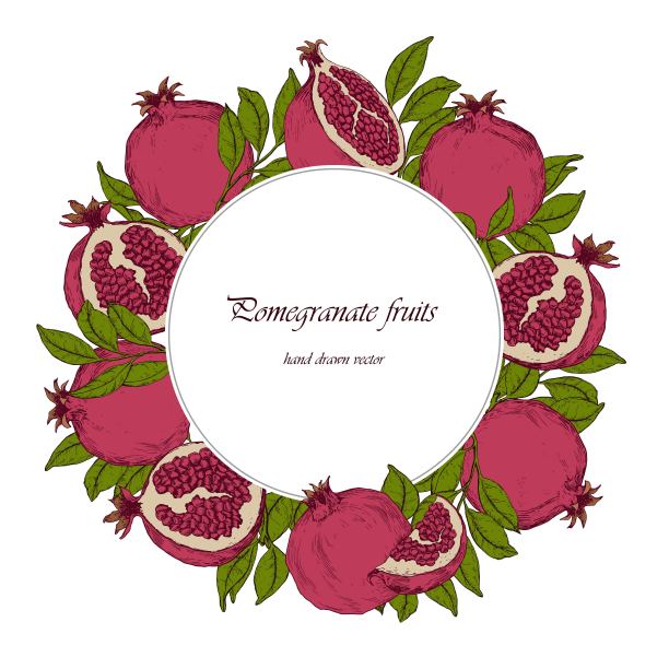 卡片模板与红色石榴水果和叶子。图片下载