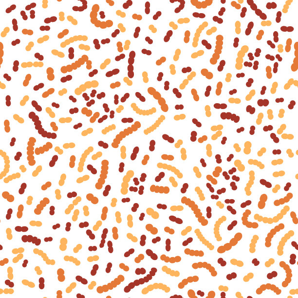 嗜酸乳杆菌模式图片下载