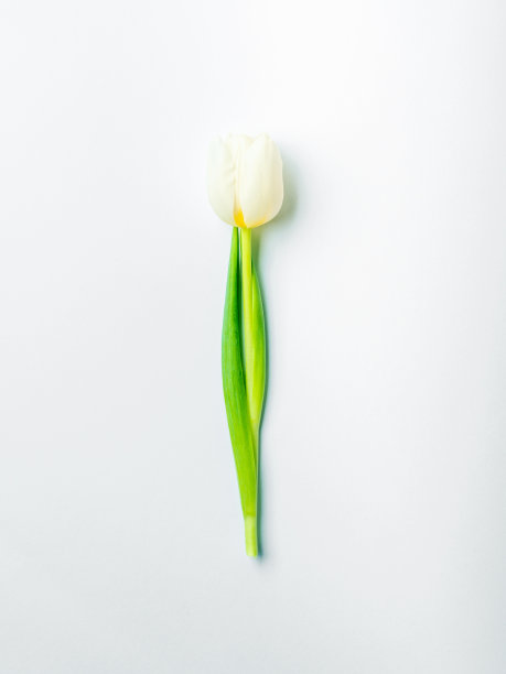 最小的女人节贺卡图片下载