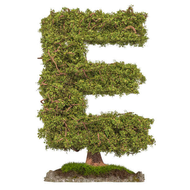 字母E树形状的字母E, 3D渲染孤立在白色背景图片下载