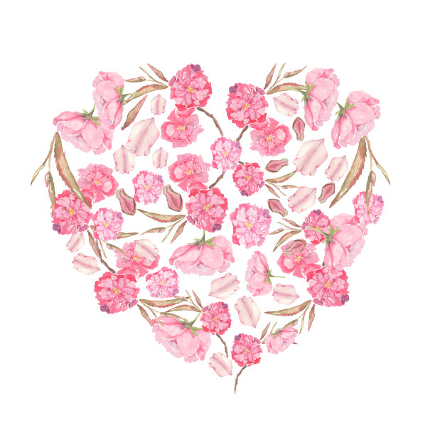 一套水彩插图粉红色的苹果和樱花形成的心图片下载