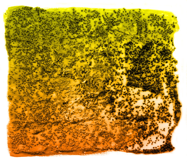 照片的丙烯酸抽象彩色手绘图案纹理黄色橙色的背景图片下载