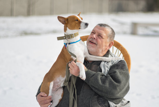 白人老人的肖像把他的威严的巴森基狗的手。狗是一个骄傲自负的个体图片下载