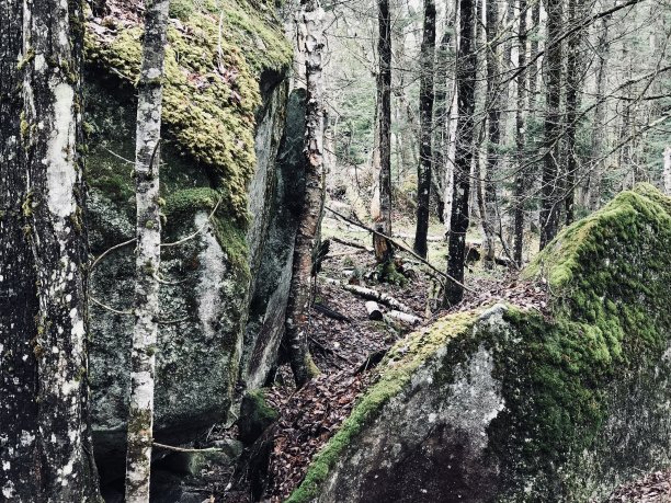 大博尔德分裂图片下载