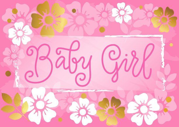 “宝贝女孩”字，以粉红色为背景，以金色和白色的花朵装饰图片下载