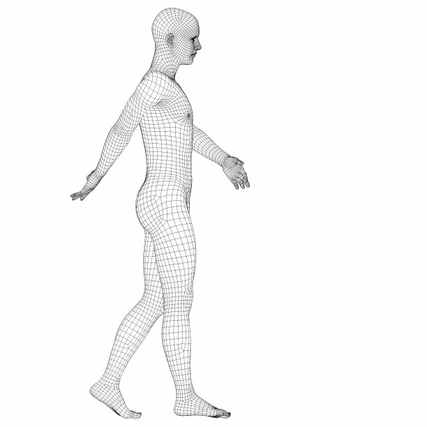 行走线框男性半机械人的3D渲染。图片下载