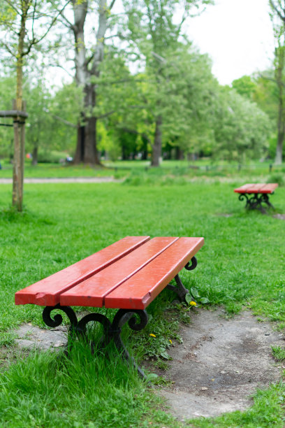 绿色城市公园图片下载