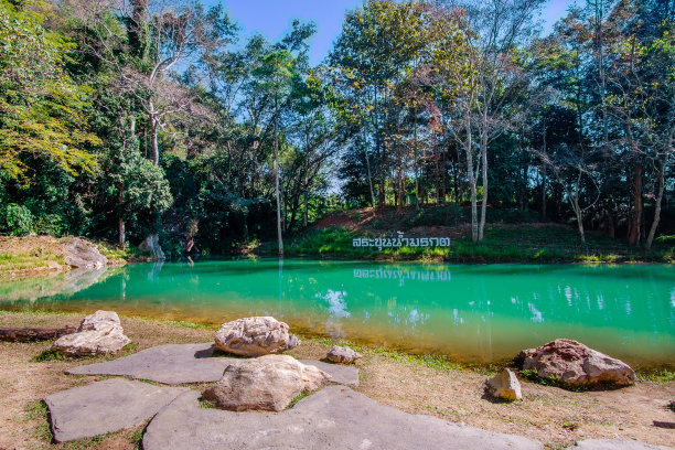 泰国北部清莱市丹琅坤南南无林公园沼泽图片下载