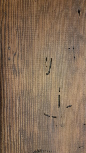 老木纹理图片下载