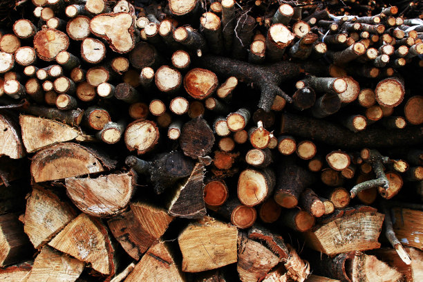 堆放的木柴的横截面图片下载