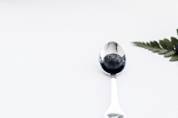 带蕨叶的蓝莓图片下载