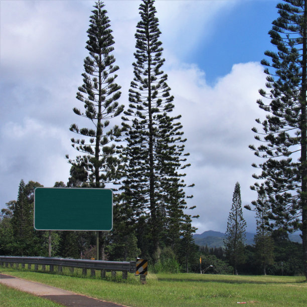 可以插入这些词的表面有:道路和高速公路标志、立交桥、街道、湖泊、公园长椅、野餐桌和棒球场旁边的标志。图片下载