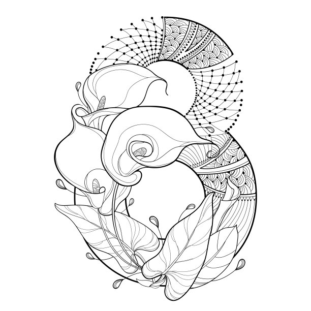 矢量花束的轮廓马蹄莲花，华丽的叶和数字8在黑色孤立在白色的背景。图片下载