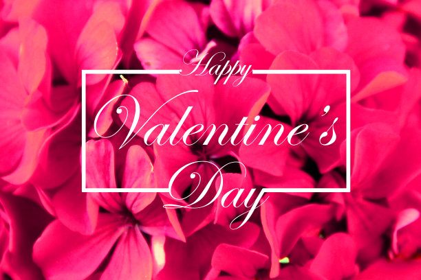 情人节-粉红色的花覆盖的背景-庆祝字母图片下载