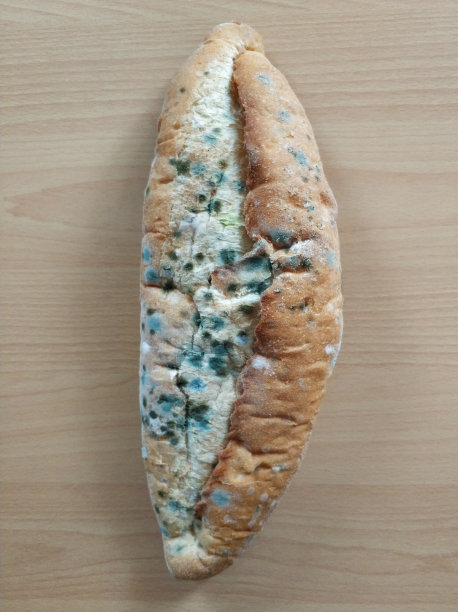 发霉的面包图片下载