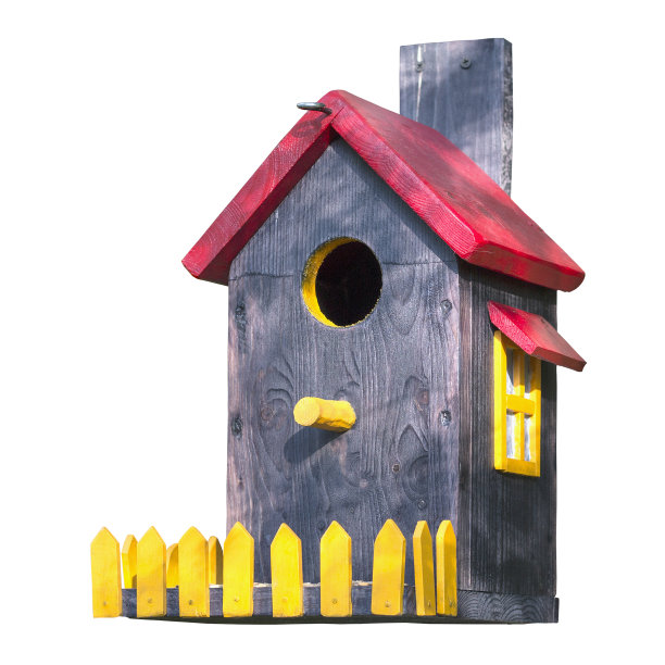 色彩斑斓的鸟屋孤立在白色上图片下载