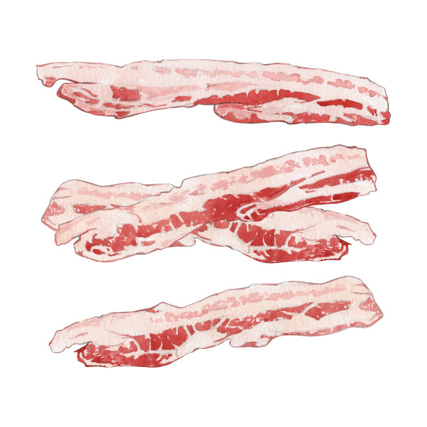 培根片水彩插图在白色的背景图片下载