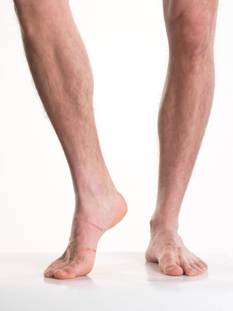 雄性有毛的腿孤立在白色图片下载