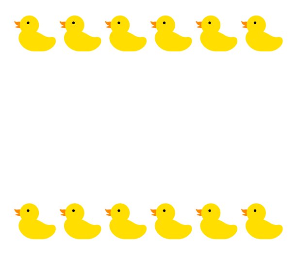 小鸡的体格图片下载