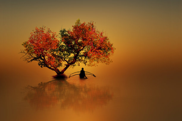 在美丽的树下享受阳光垂钓图片下载