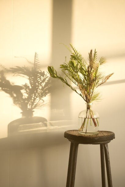 干花染向西方图片下载