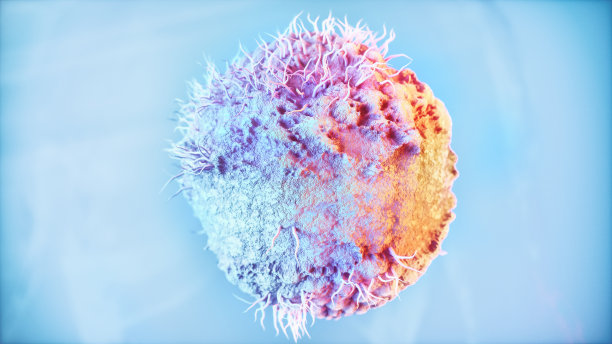 水痘带状疱疹-带状疱疹-疱疹病毒- 3D渲染图片下载