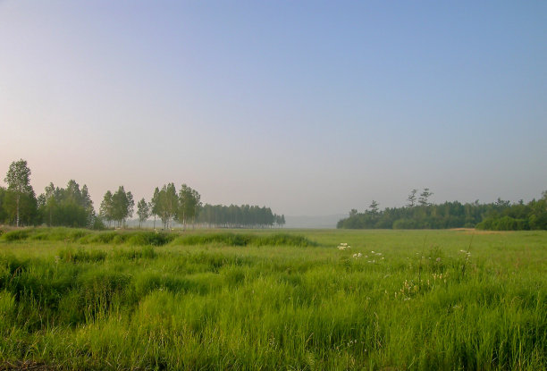 《远东自然》图片下载