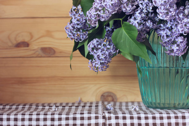 丁香木背景，放置文字。图片下载