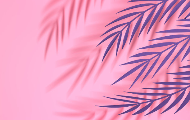 热带棕榈叶与阴影在墙上。夏季热带色彩柔和的叶子。折纸异国情调的夏威夷丛林树叶，夏季背景。剪纸。最小的风格。三维渲染图片下载