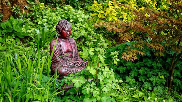 佛教园图片下载