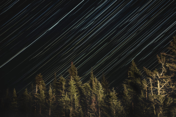 运动明星图片下载