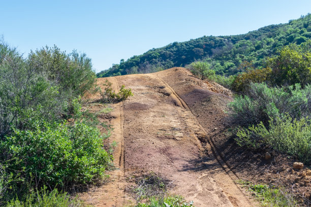 森林里的卡车轮胎印图片下载